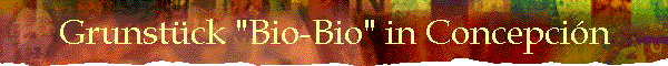 Grunstck "Bio-Bio" in Concepcin