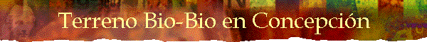 Terreno Bio-Bio en Concepci�n